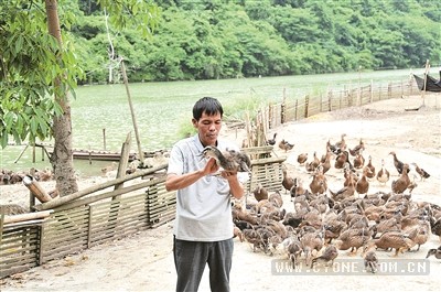 黄贵贤：残疾人创业建养殖场,猪和鸭子不愁卖